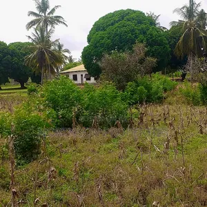 Plot at Mbutu Kigamboni
