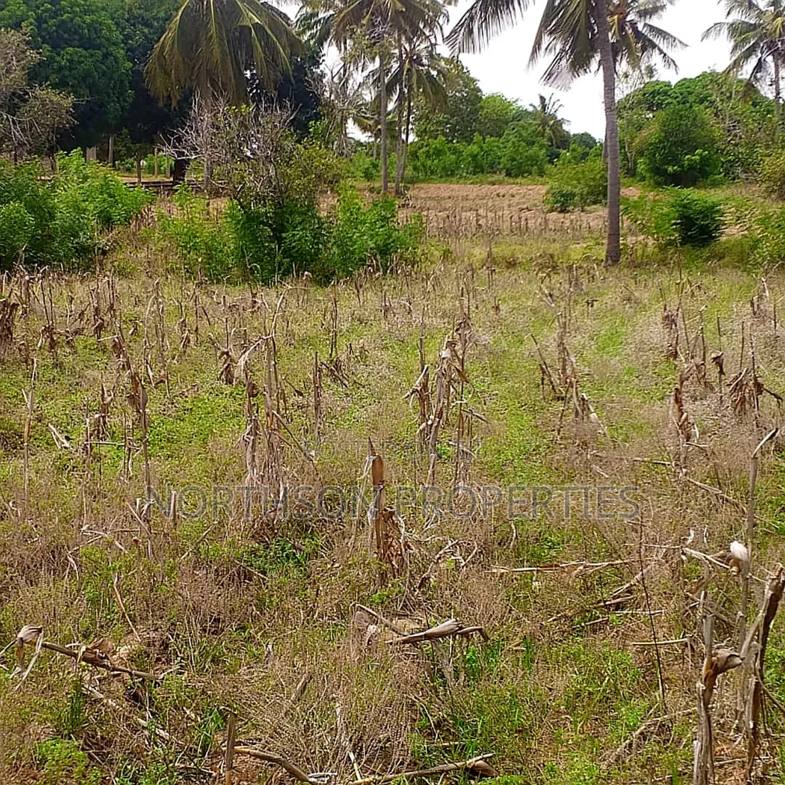Plot at Mbutu Kigamboni