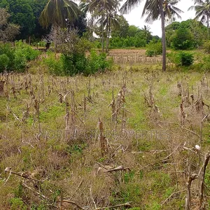 Plot at Mbutu Kigamboni