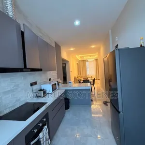Furnished 3bdrm Apartment in Kariakoo for rent