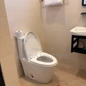 Furnished 3bdrm Apartment in Kariakoo for rent