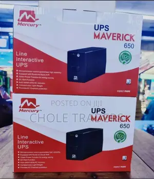 Ups 650va ( Hk Vision)