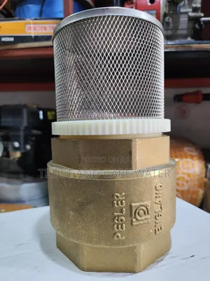 Foot Valve (4inch)
