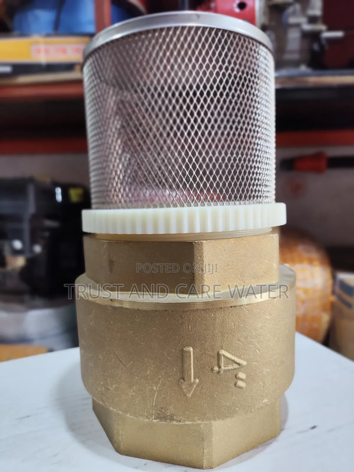 Foot Valve (4inch)