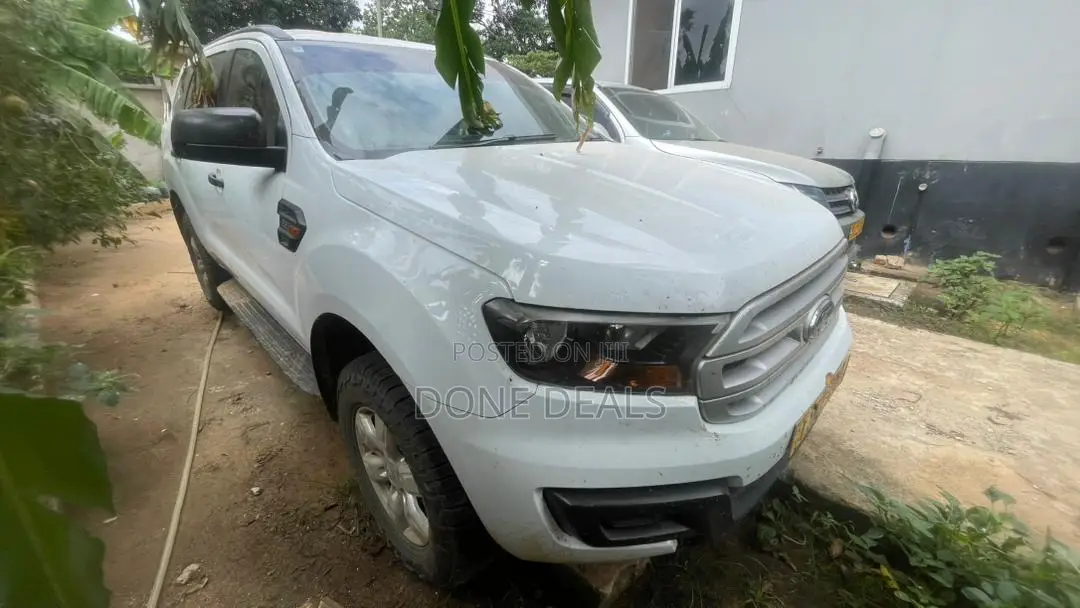 Ford Everest 2019 White