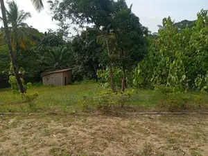 6bdrm Bungalow in Iringa Morogoro Road, Mbezi for sale