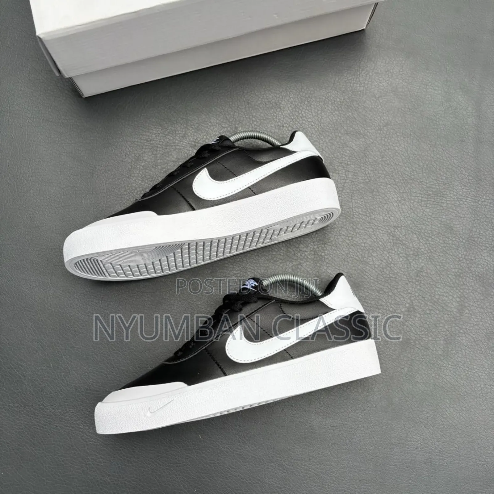 Nike Skateboard Shoes