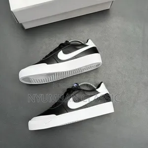 Nike Skateboard Shoes