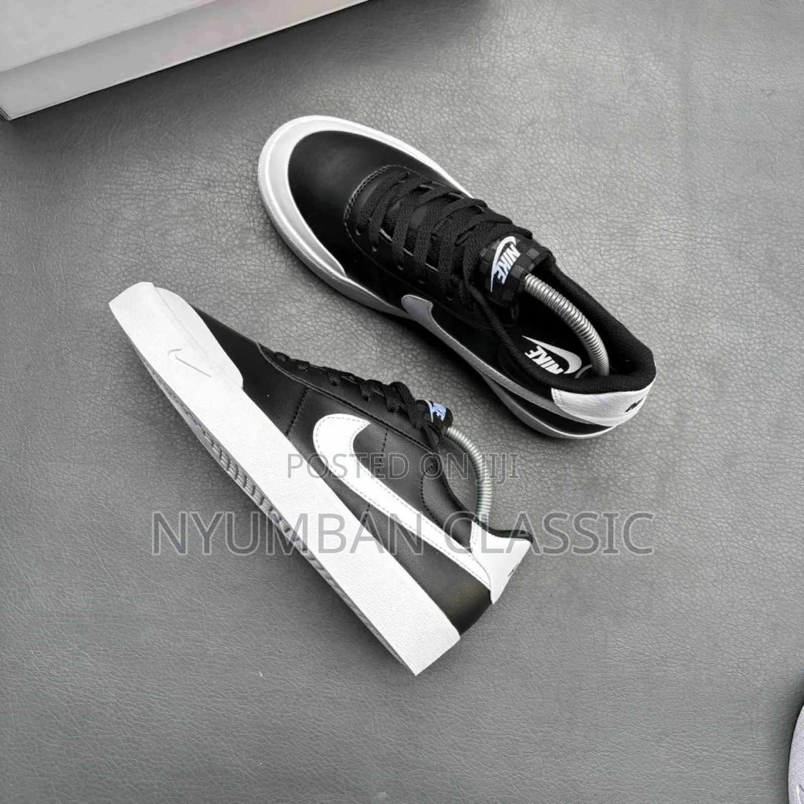 Nike Skateboard Shoes