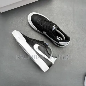 Nike Skateboard Shoes