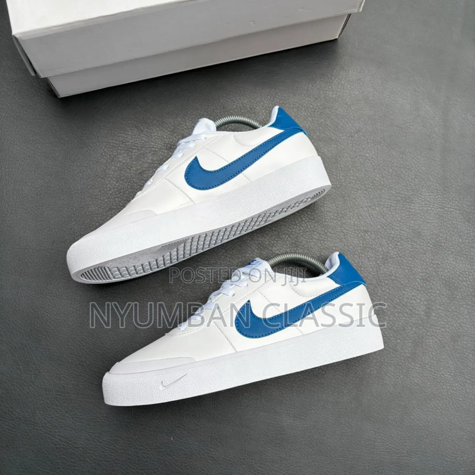 Nike Skateboard Shoes