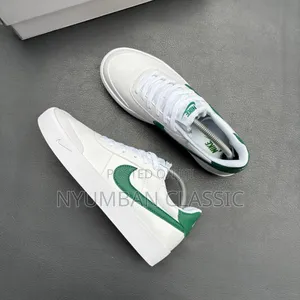 Nike Skateboard Shoes