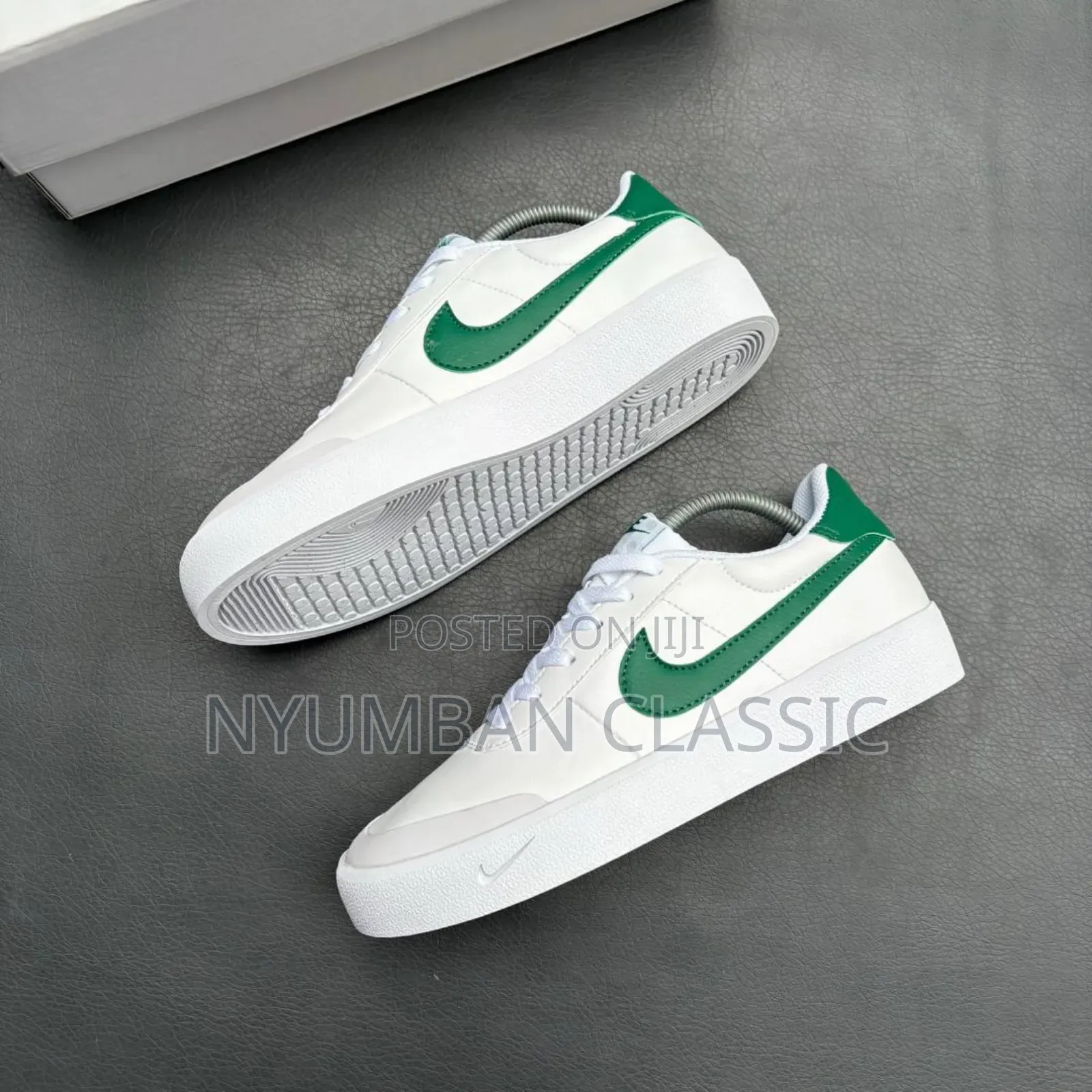 Nike Skateboard Shoes