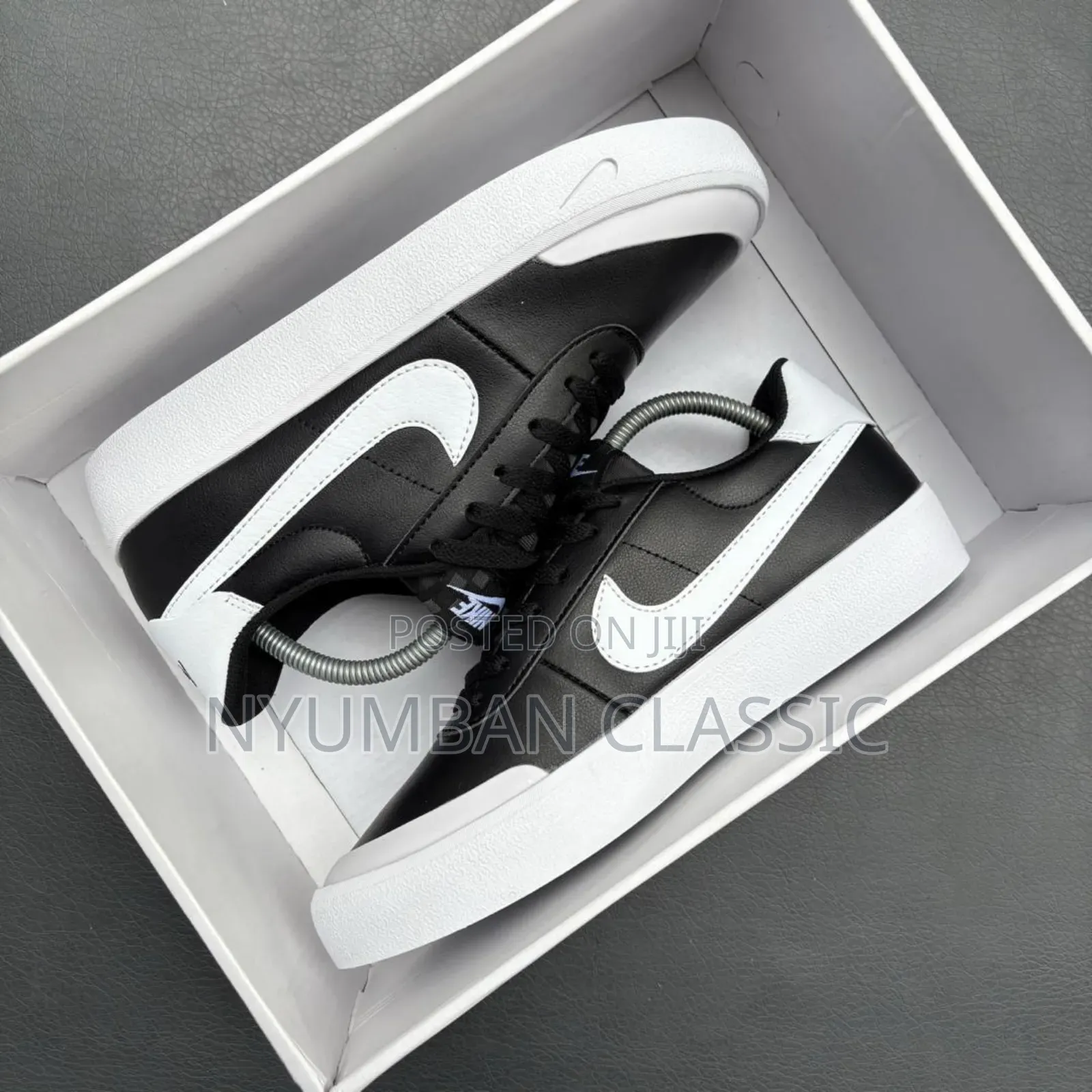 Nike Skateboard Shoes