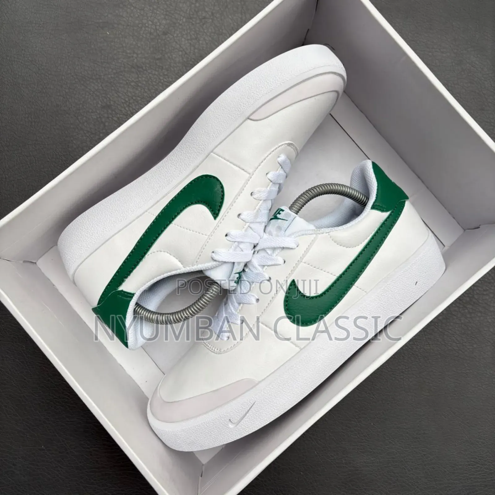 Nike Skateboard Shoes