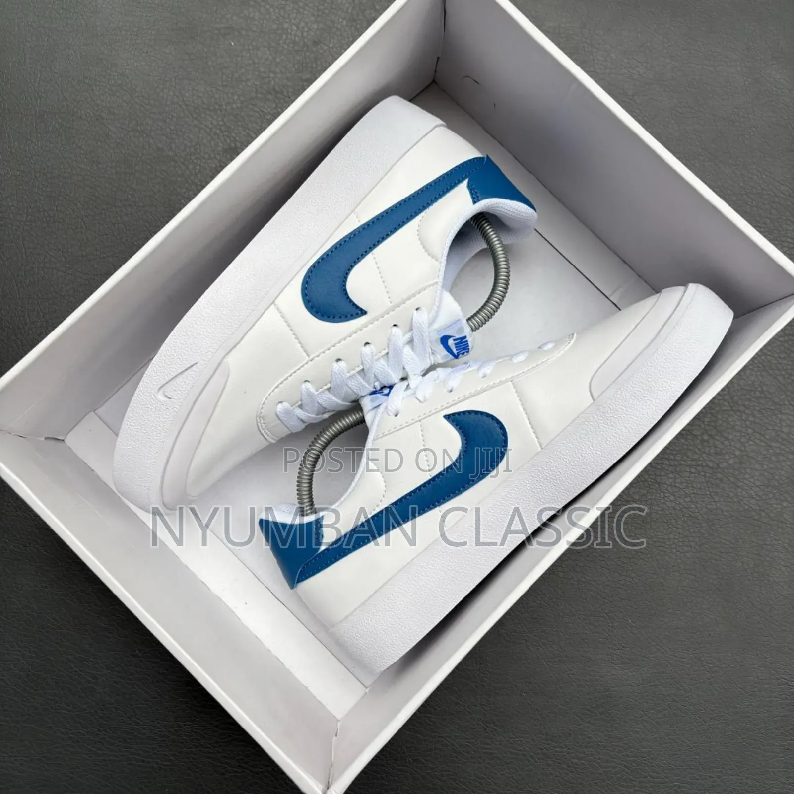 Nike Skateboard Shoes