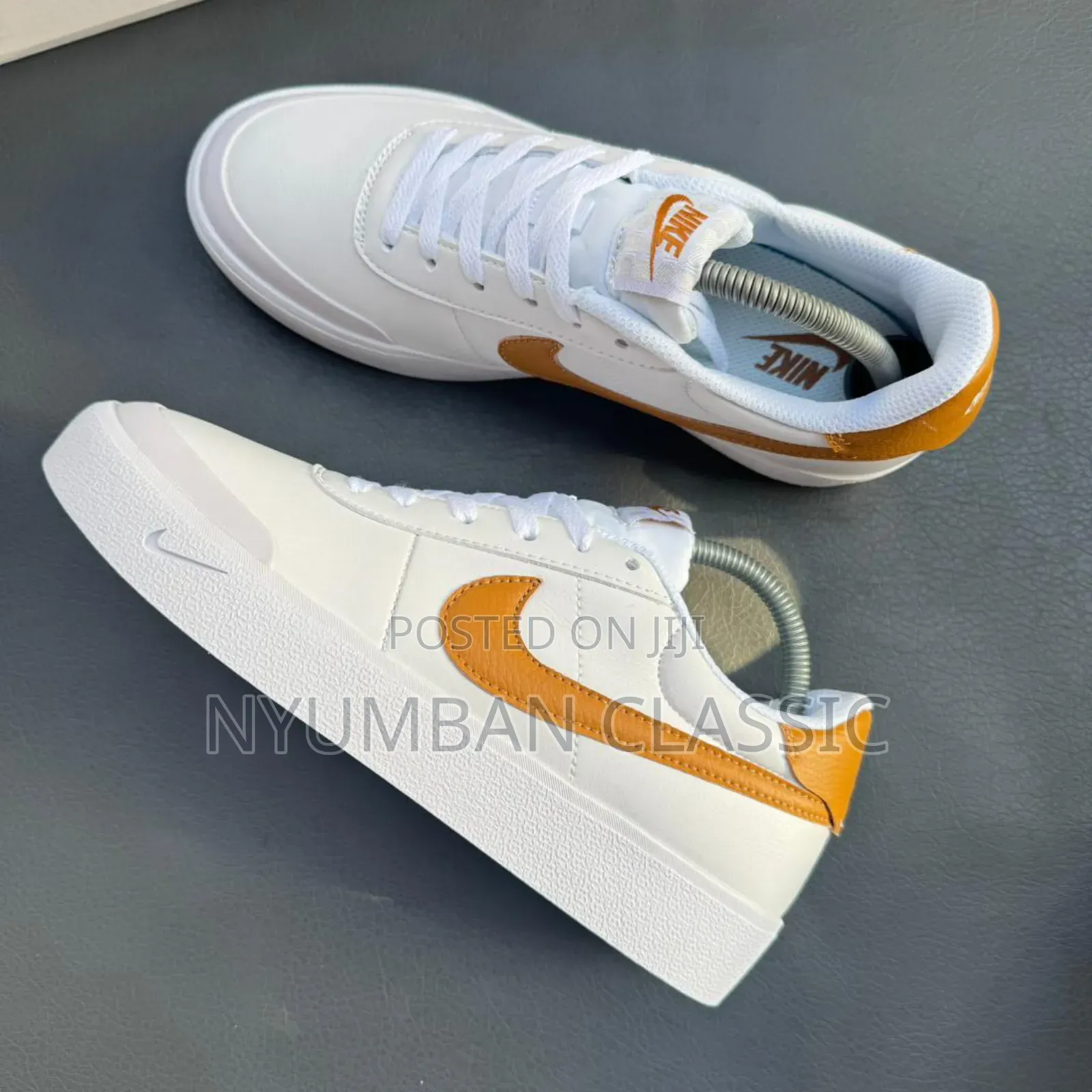 Nike Skateboard Shoes