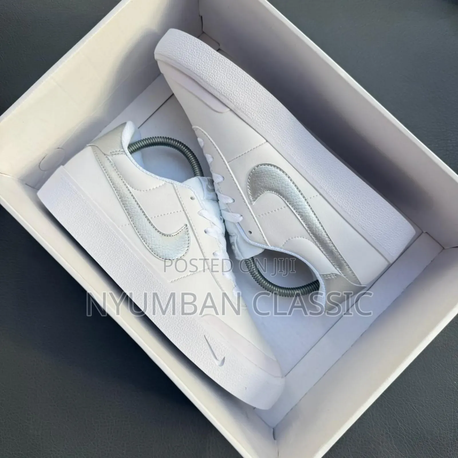 Nike Skateboard Shoes