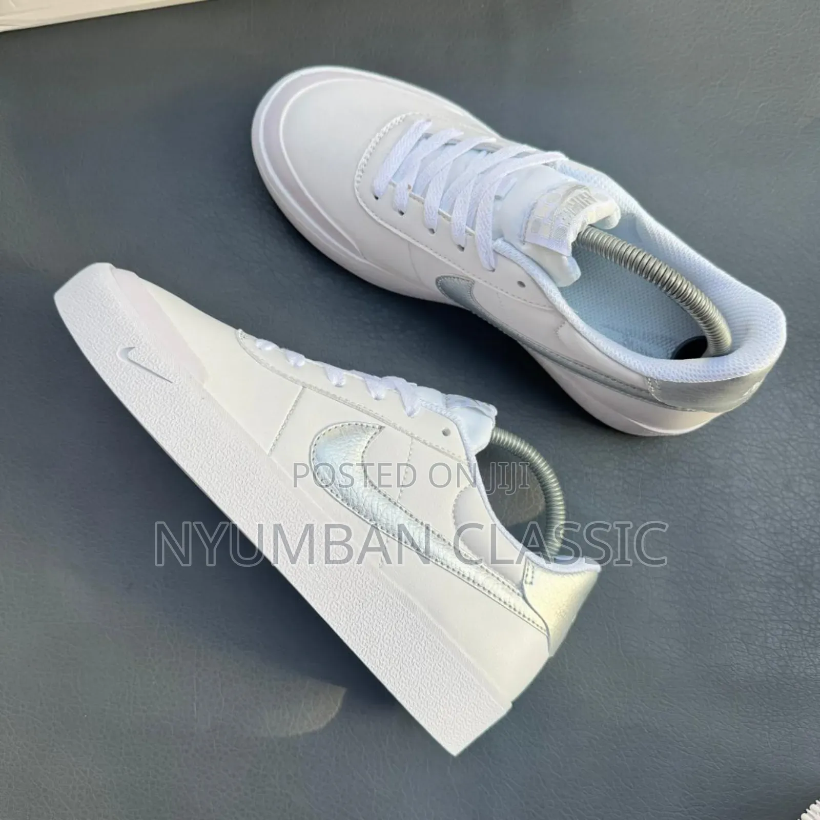 Nike Skateboard Shoes