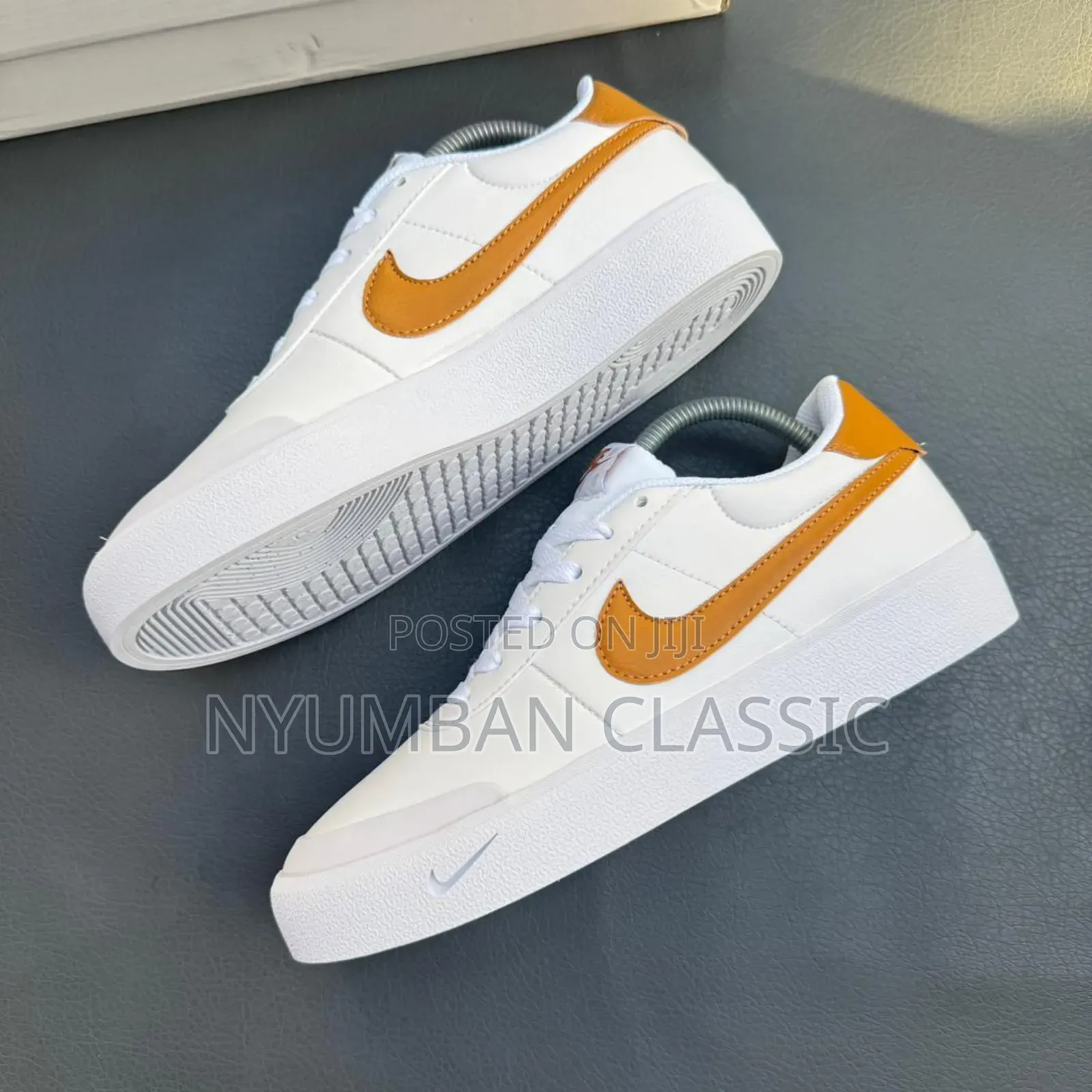 Nike Skateboard Shoes