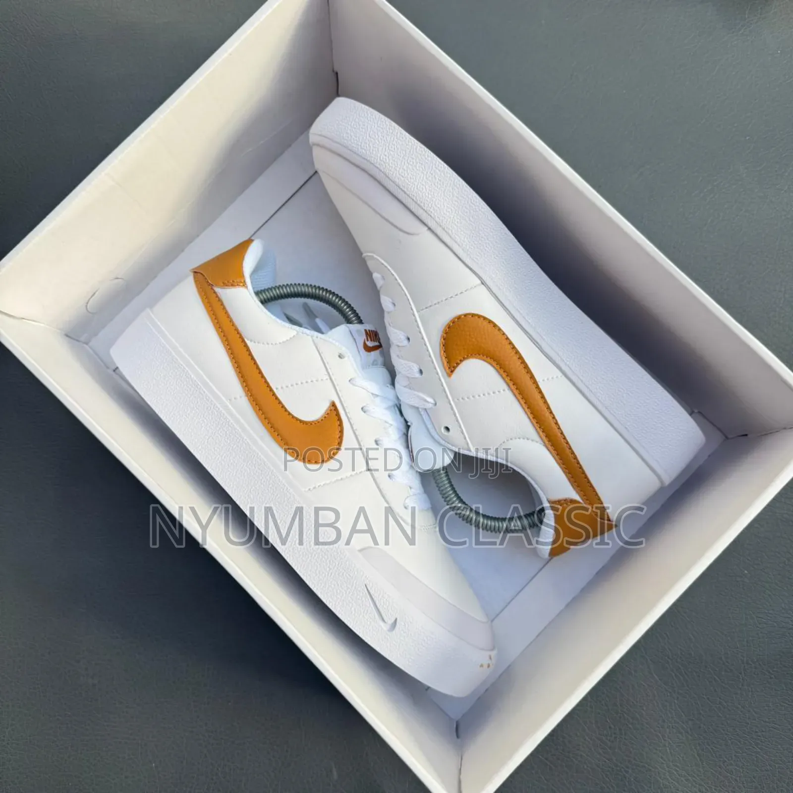 Nike Skateboard Shoes