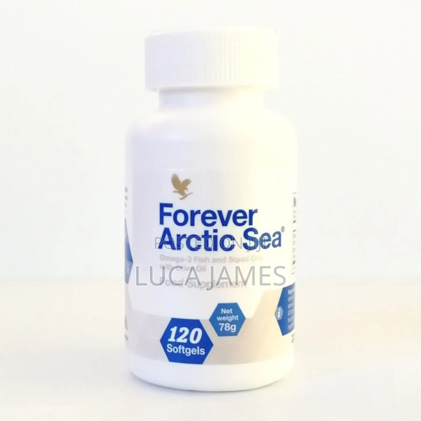 Forever Artic Sea