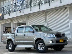 Toyota Hilux 2009 Gray