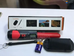 Pin Pointer Detector