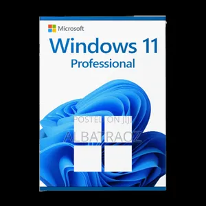 Windows 11 Professional