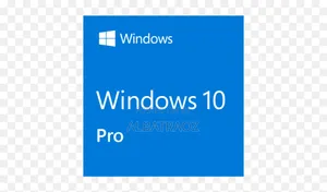 Windows 10 Professional