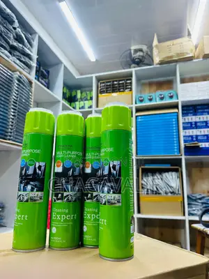 Foam Cleaners Carton ( 24 Pieces)