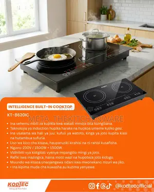 Kodtec Built in Induction Cooker