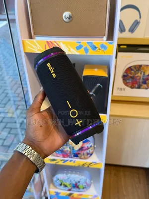 W-King D220 Portable Speakers 40w