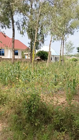 Plot for Sale Mwanza Ilemela Busweru
