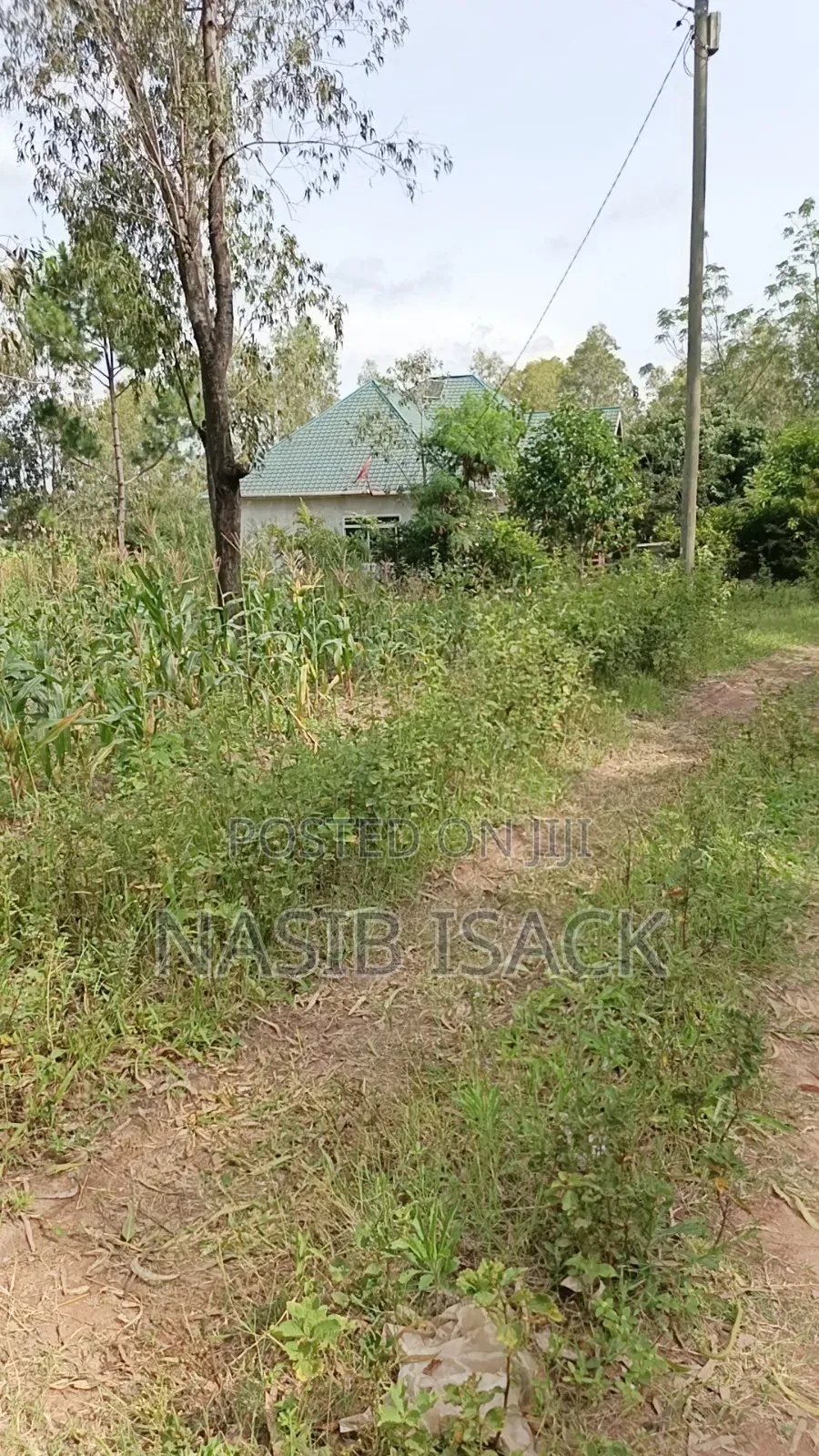 Plot for Sale Mwanza Ilemela Busweru