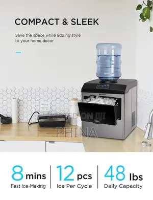 2in 1 Ice Maker and Water Dispenser