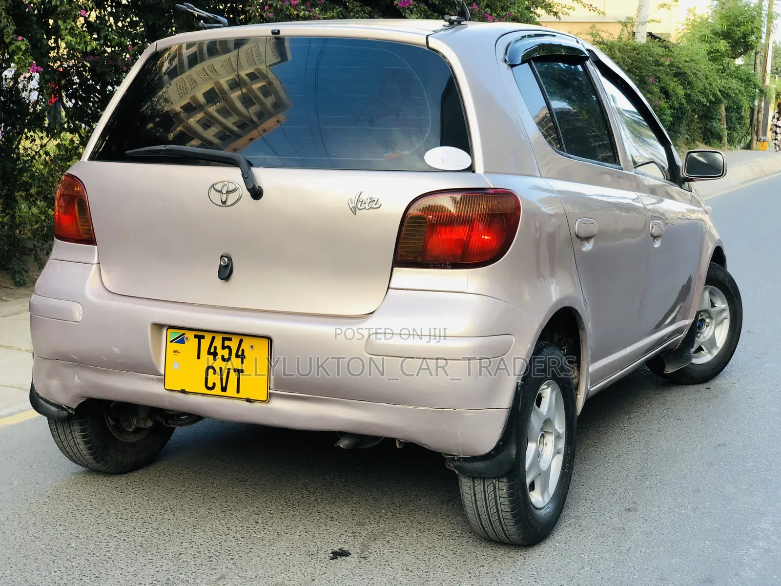 Toyota Vitz 2003 Pink