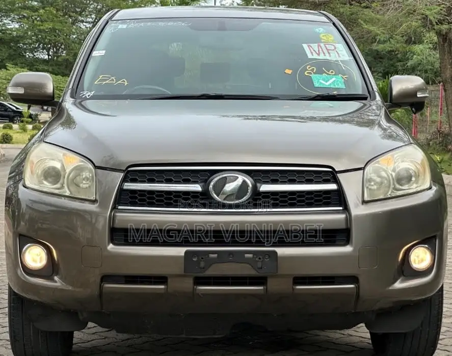 Toyota RAV4 2009 Gray