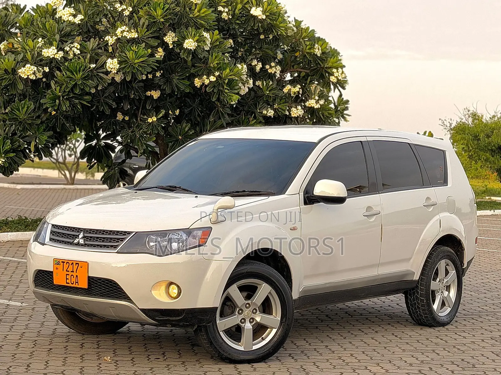 Mitsubishi Outlander 2006 White