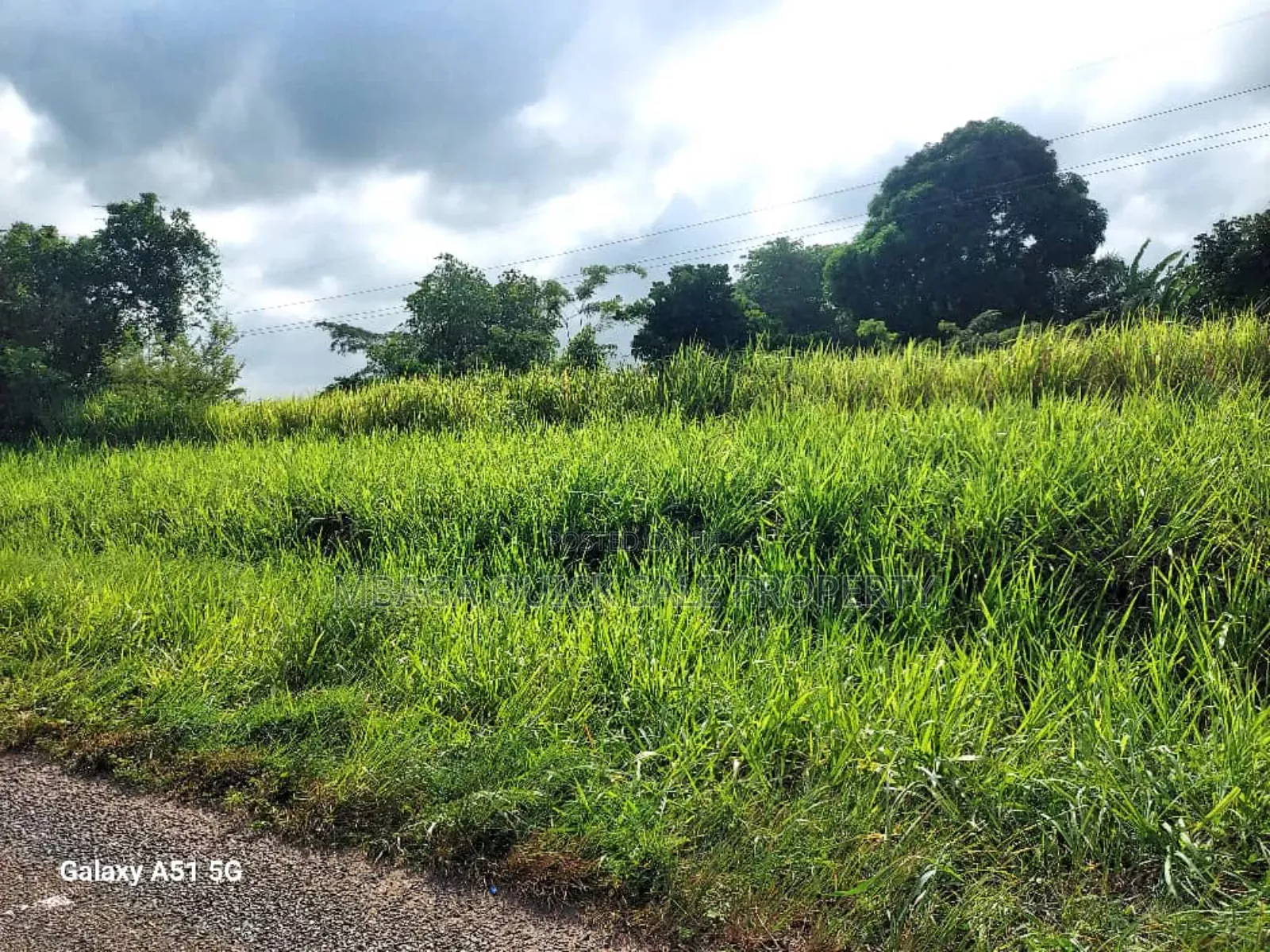 Plot for Sale at Bungu Pwani Nyuma Ya Bomba La Gas Acres 34