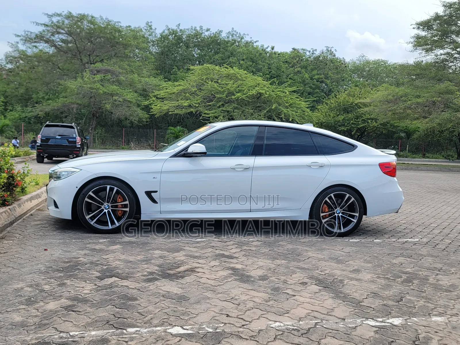 BMW 3 Series 2013 White