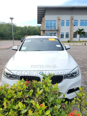 BMW 3 Series 2013 White