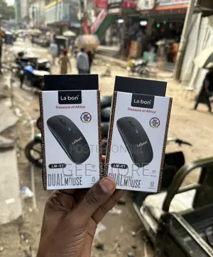 Laiboni Dual Mice