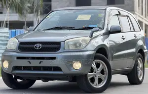 Toyota RAV4 2005 Gray