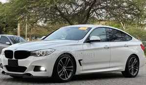 BMW 3 Series 2015 Pearl