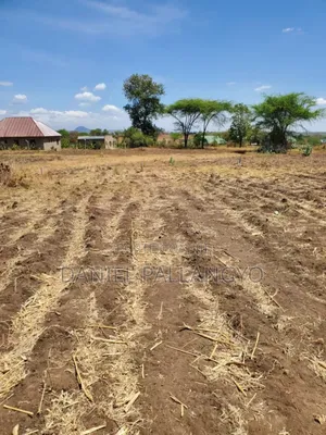 Viwanja / Plots Bora Arusha
