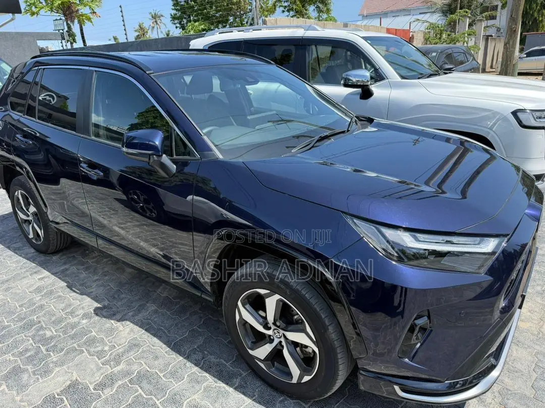 Toyota RAV4 2024 Blue