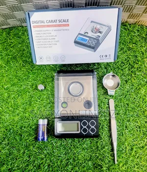High Professional Digital Carat Scale 0.001g/30g