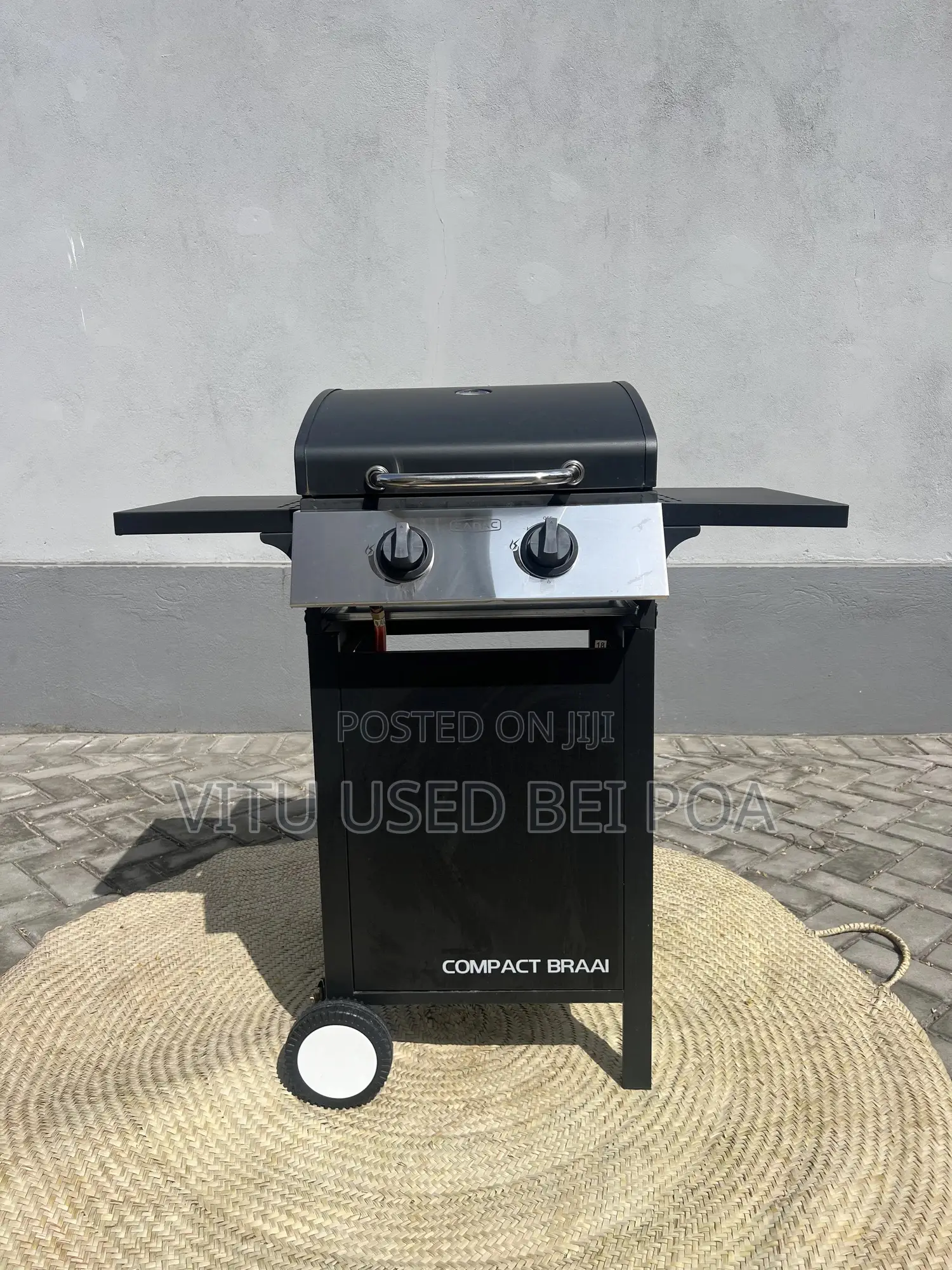 BBQ Gas Grill