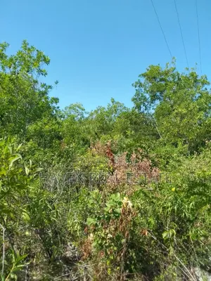 Second Beach Plot for Sale at Zanzibar